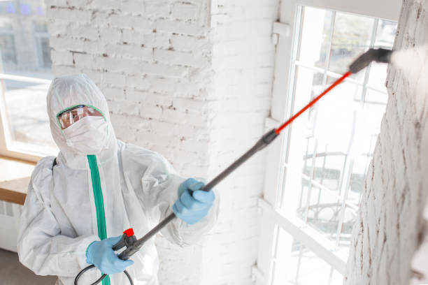 Best Asbestos and Lead Testing During Mold Inspection  in Orangeburg, NY