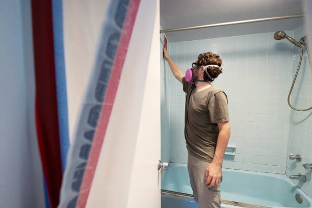  Orangeburg, NY Mold Removal Pros