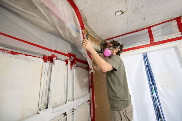Best Indoor Air Quality Assessment  in Orangeburg, NY