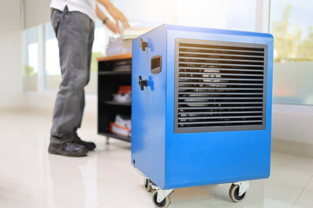 Best Mold Odor Removal Services  in Orangeburg, NY