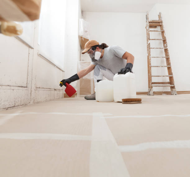 Best Mold-Related Health Consultation  in Orangeburg, NY