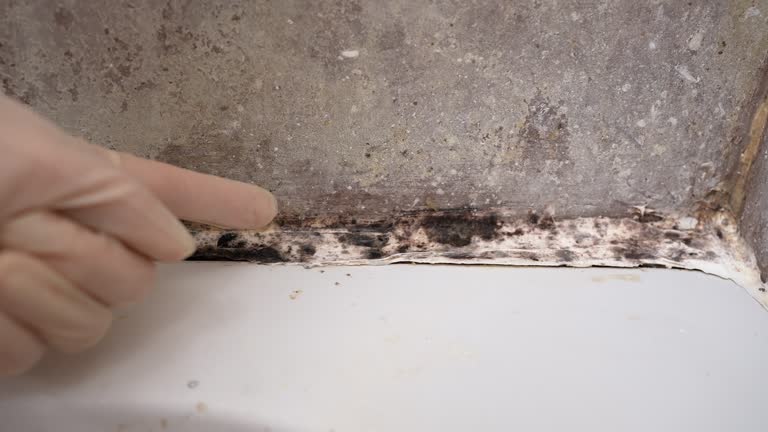 Best Post-Remediation Verification Testing  in Orangeburg, NY